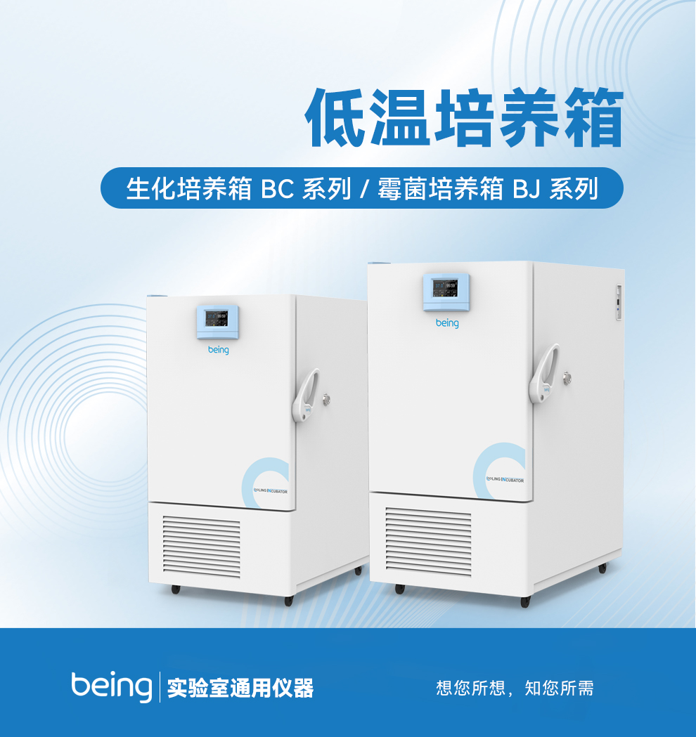 貝茵生化培養(yǎng)箱、霉菌培養(yǎng)箱