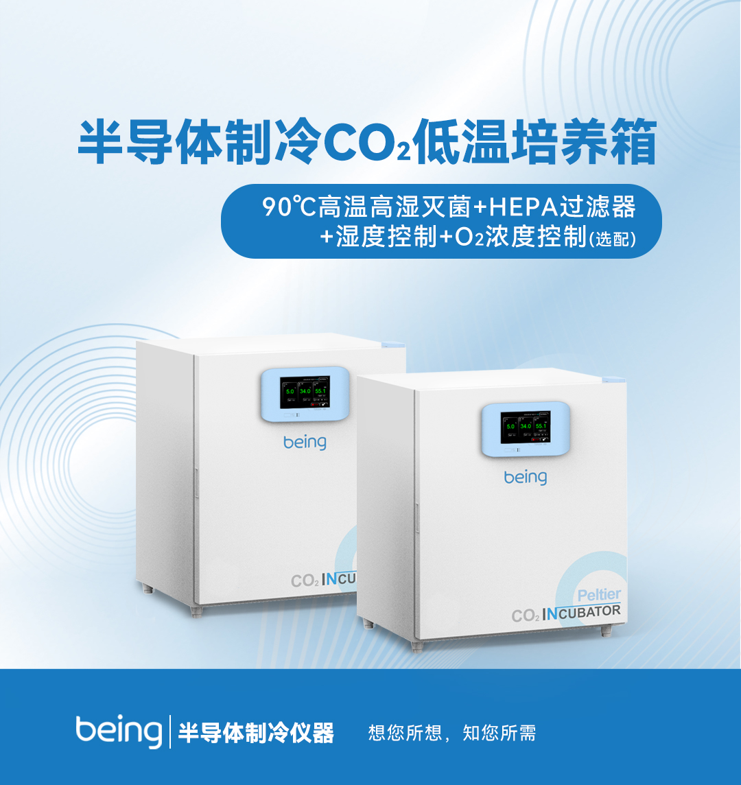 半導(dǎo)體制冷CO2低溫培養(yǎng)箱